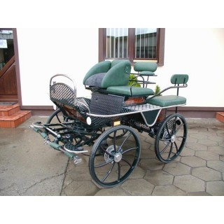 voiture marathon training attelage poney cob