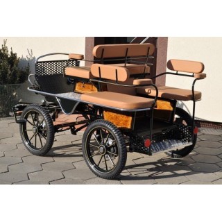 voiture marathon training attelage poney cob