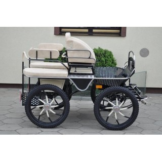 voiture marathon training attelage poney cob