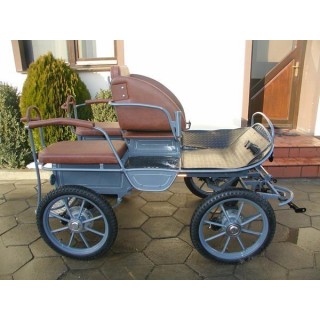 voiture attelage marathon training poneys