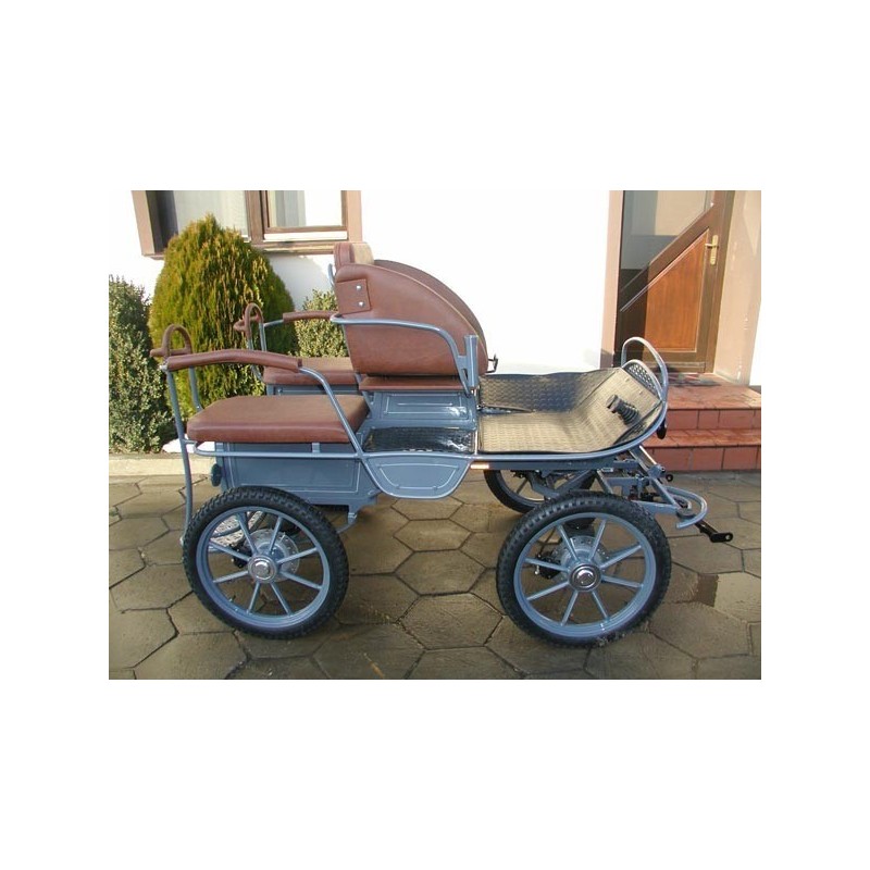 voiture attelage marathon training poneys