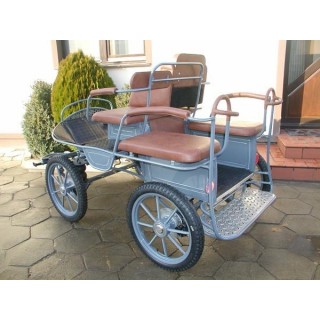 voiture attelage marathon training poneys