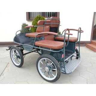 voiture attelage marathon training poneys