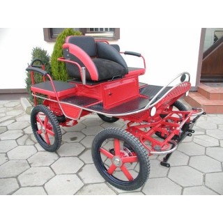 voiture attelage marathon training poneys