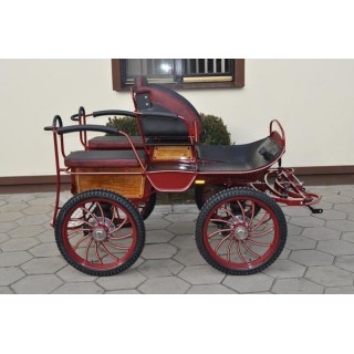 voiture attelage marathon training poneys