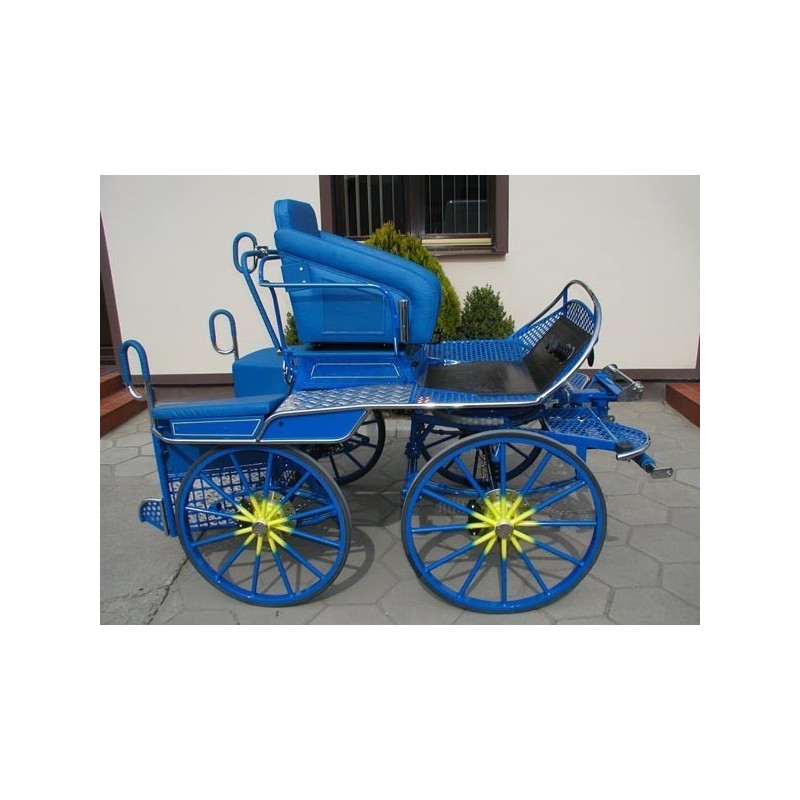 marathon sport pour attelage poney ou chevaux