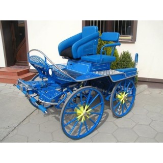 marathon sport pour attelage poney ou chevaux