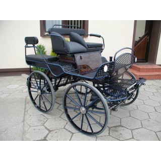 voiture marathon training loisir equestre pour cheval