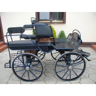 voiture marathon training loisir equestre pour cheval