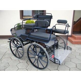 voiture marathon training loisir equestre pour cheval