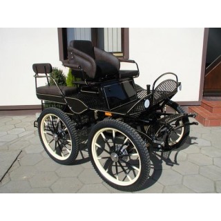 voiture marathon training loisir equestre pour cheval