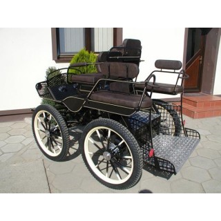 voiture marathon training loisir equestre pour cheval