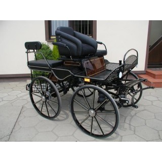 voiture marathon training loisir equestre pour cheval