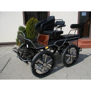 voiture marathon training loisir equestre pour cheval