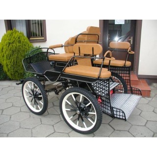 voiture marathon training loisir equestre pour cheval