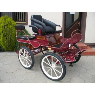 voiture marathon training loisir equestre pour cheval