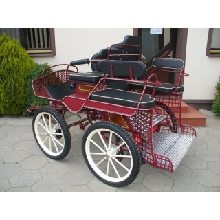 voiture marathon training loisir equestre pour cheval