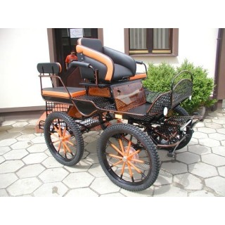 voiture marathon training loisir equestre pour cheval