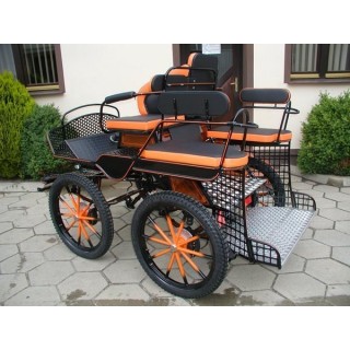 voiture marathon training loisir equestre pour cheval