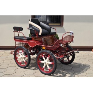 voiture marathon training loisir equestre pour cheval
