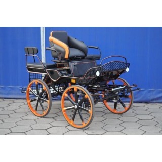 voiture marathon training loisir equestre pour cheval