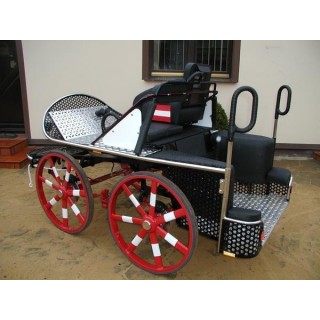 voiture marathon sport cheval