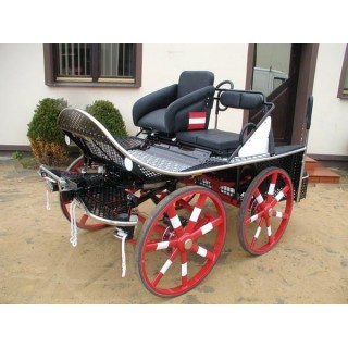 voiture marathon sport cheval