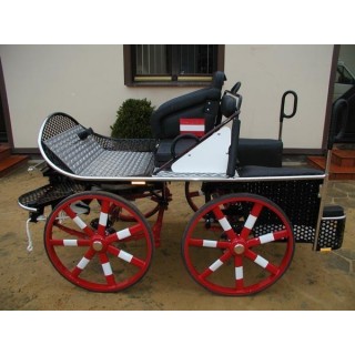 voiture marathon sport cheval
