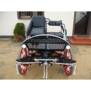 voiture marathon sport cheval