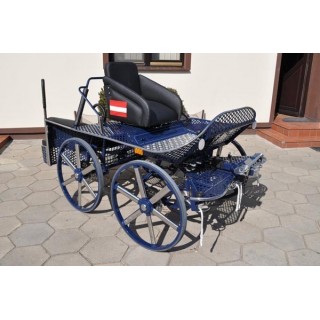 voiture marathon sport cheval