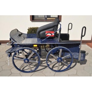 voiture marathon sport cheval