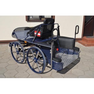 voiture marathon sport cheval