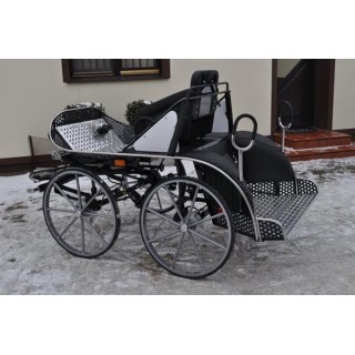 voiture hippomobile marathon sport pour chevaux