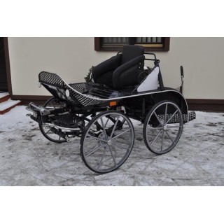 voiture hippomobile marathon sport pour chevaux