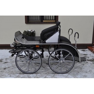 voiture hippomobile marathon sport pour chevaux