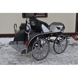 voiture hippomobile marathon sport pour chevaux