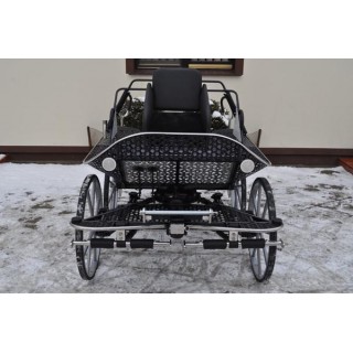 voiture hippomobile marathon sport pour chevaux