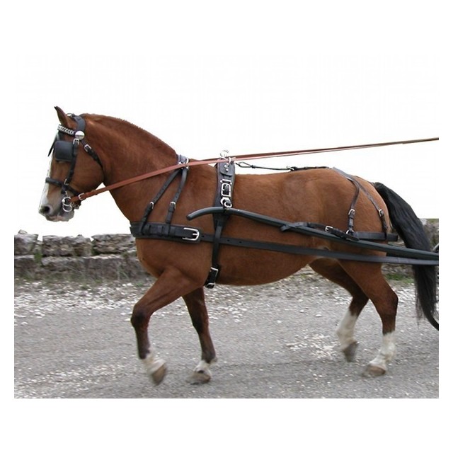 harnais en cuir marathon pour atteler un cheval