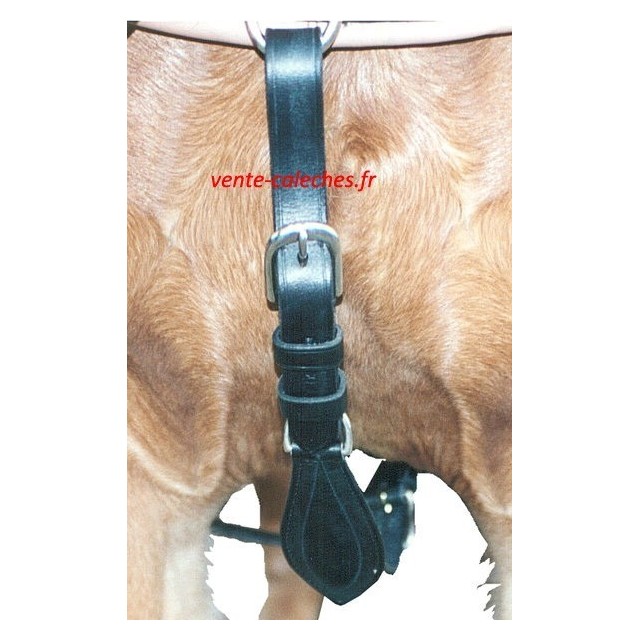 Fausse martingale