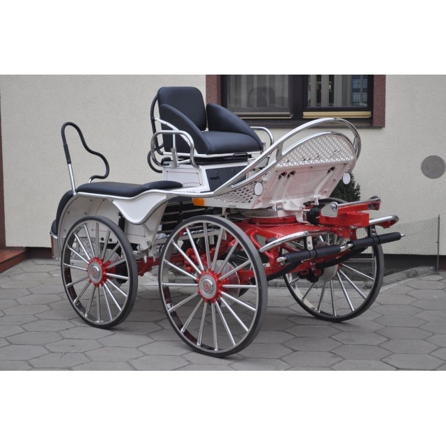 Marathon attelage hippomobile  4 chevaux