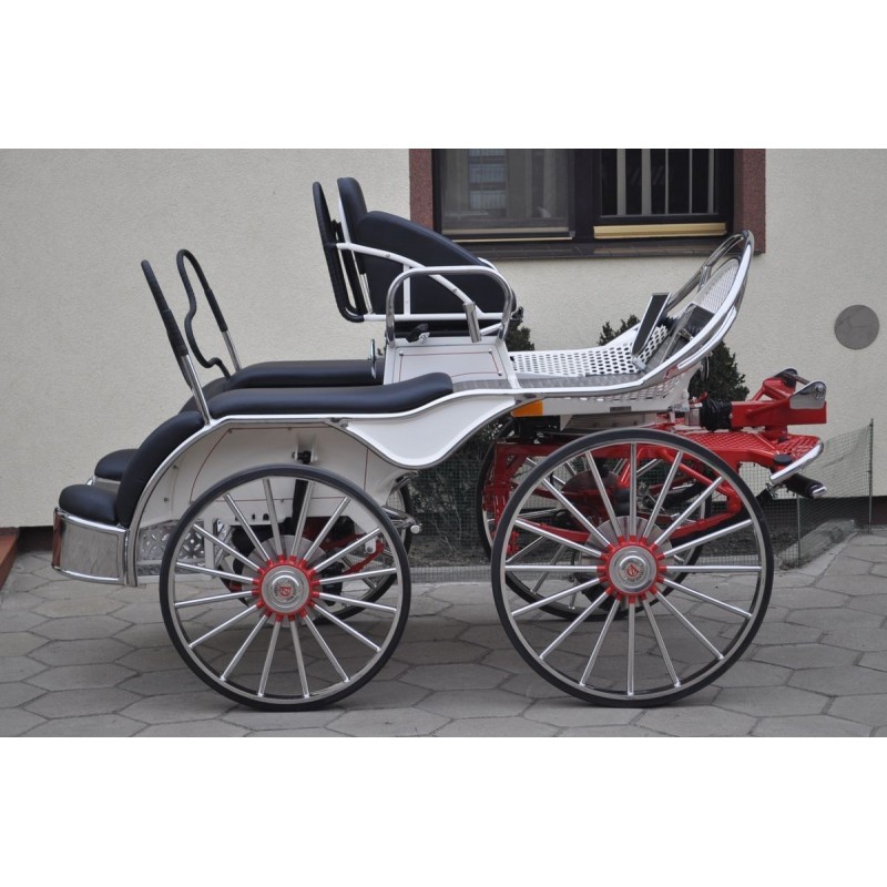 Marathon attelage hippomobile  4 chevaux