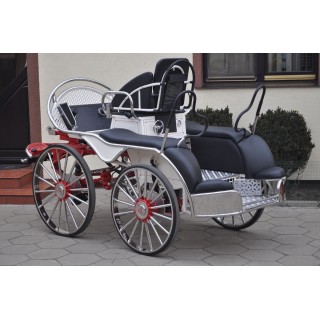 Marathon attelage hippomobile  4 chevaux