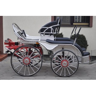 Marathon attelage hippomobile  4 chevaux