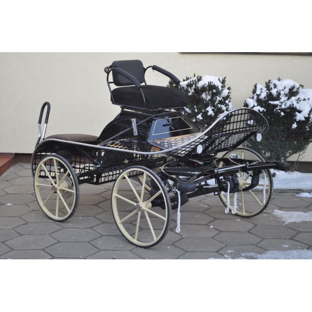 Marathon sport 2 poneys