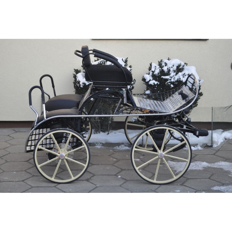 Marathon sport 2 poneys