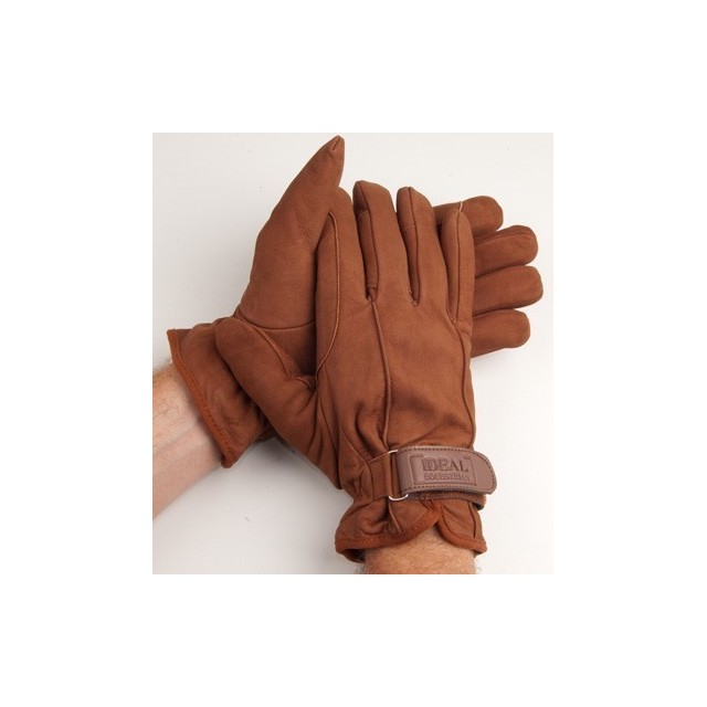 Gants de meneur hiver Ideal